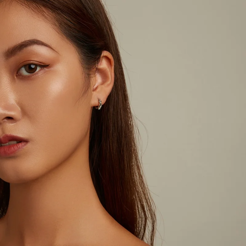 (afbeelding voor) Pandora Style Spirit Slang Oorbellen - SCE1357 - Bekijken 6