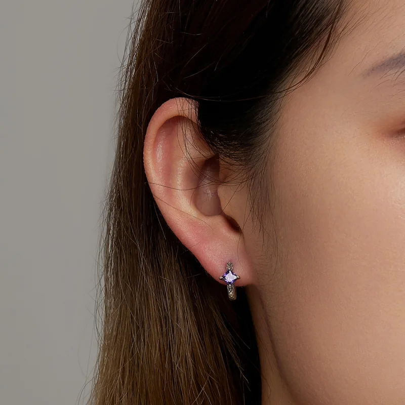 (afbeelding voor) Pandora Style Zirkoon Snake Patroon Oorbellen - SCE1417 - Bekijken 6