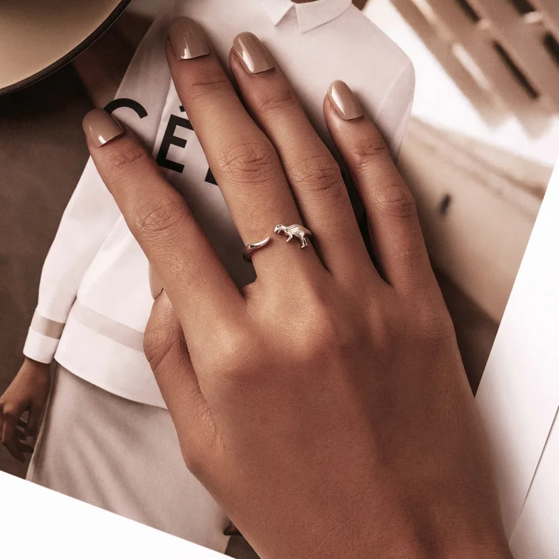 (afbeelding voor) Pandora Style Dinosaurus Open Ring - BSR226 - Bekijken 6