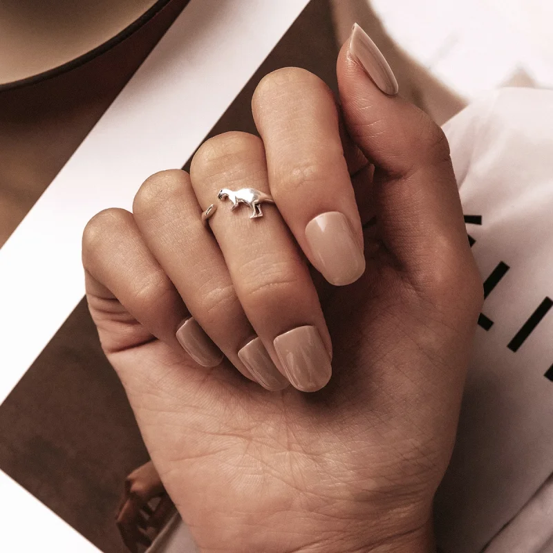 (afbeelding voor) Pandora Style Dinosaurus Open Ring - BSR226 - Bekijken 7