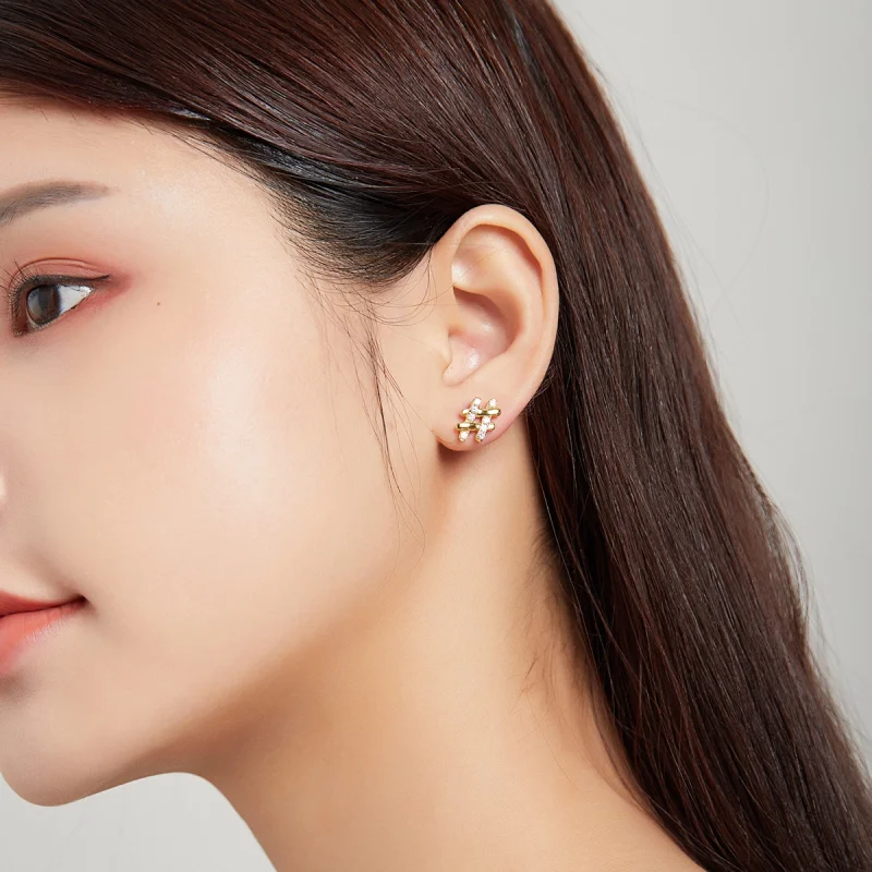 (afbeelding voor) Pandora Style Geheim Symbool - # Oorknopjes - SCE1071 - Bekijken 5