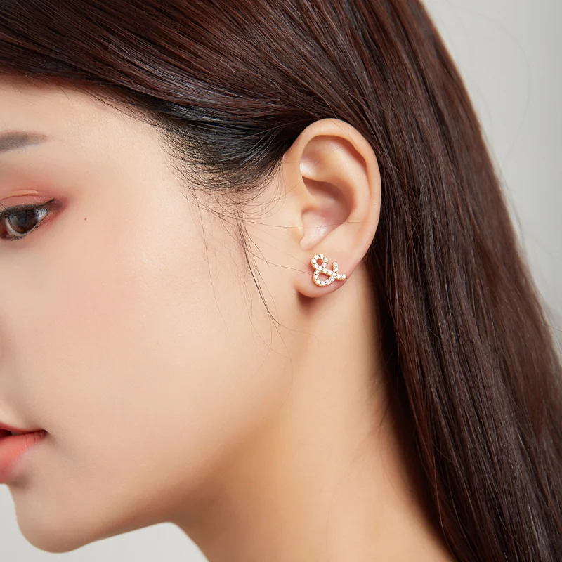 (afbeelding voor) Pandora Style Geheim Symbool - & Oorknopjes - SCE1072 - Bekijken 4