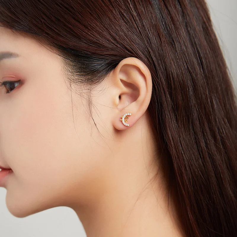 (afbeelding voor) Pandora Style Geheim Symbool - € Oorknopjes - SCE1074 - Bekijken 5