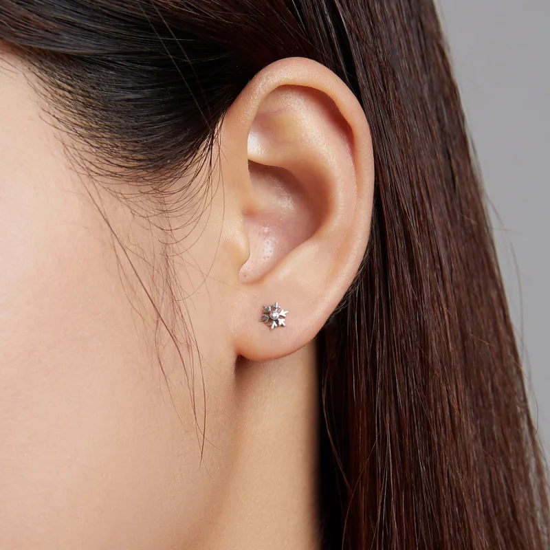 (afbeelding voor) Pandora Style Mooie sneeuwvlokken Oorknopjes - BSE529 - Bekijken 6