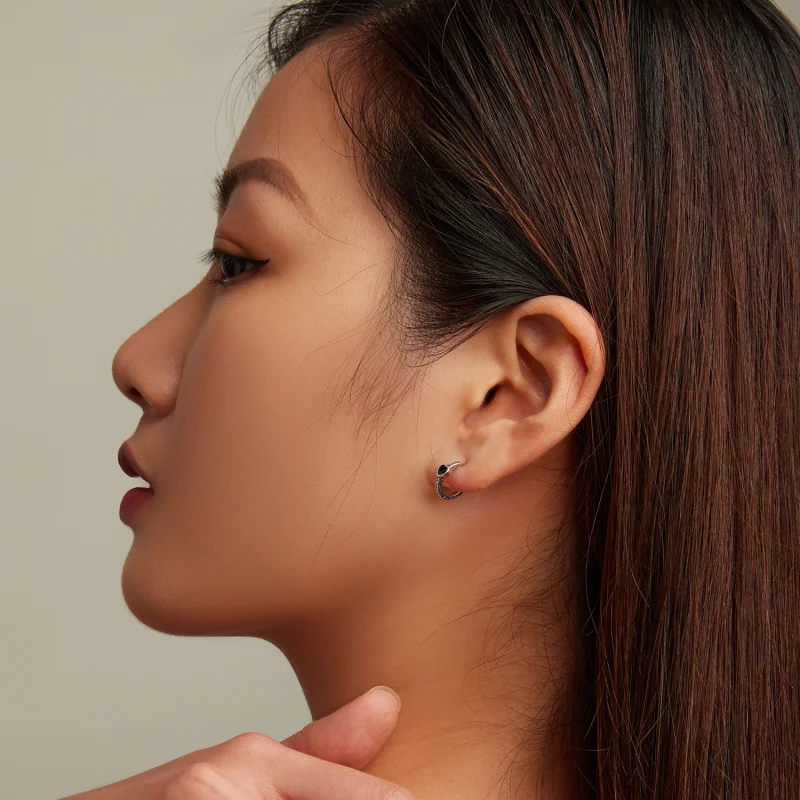 (afbeelding voor) Pandora Style Vintage Zwart Zirkoon Oorknopjes - SCE1520 - Bekijken 7