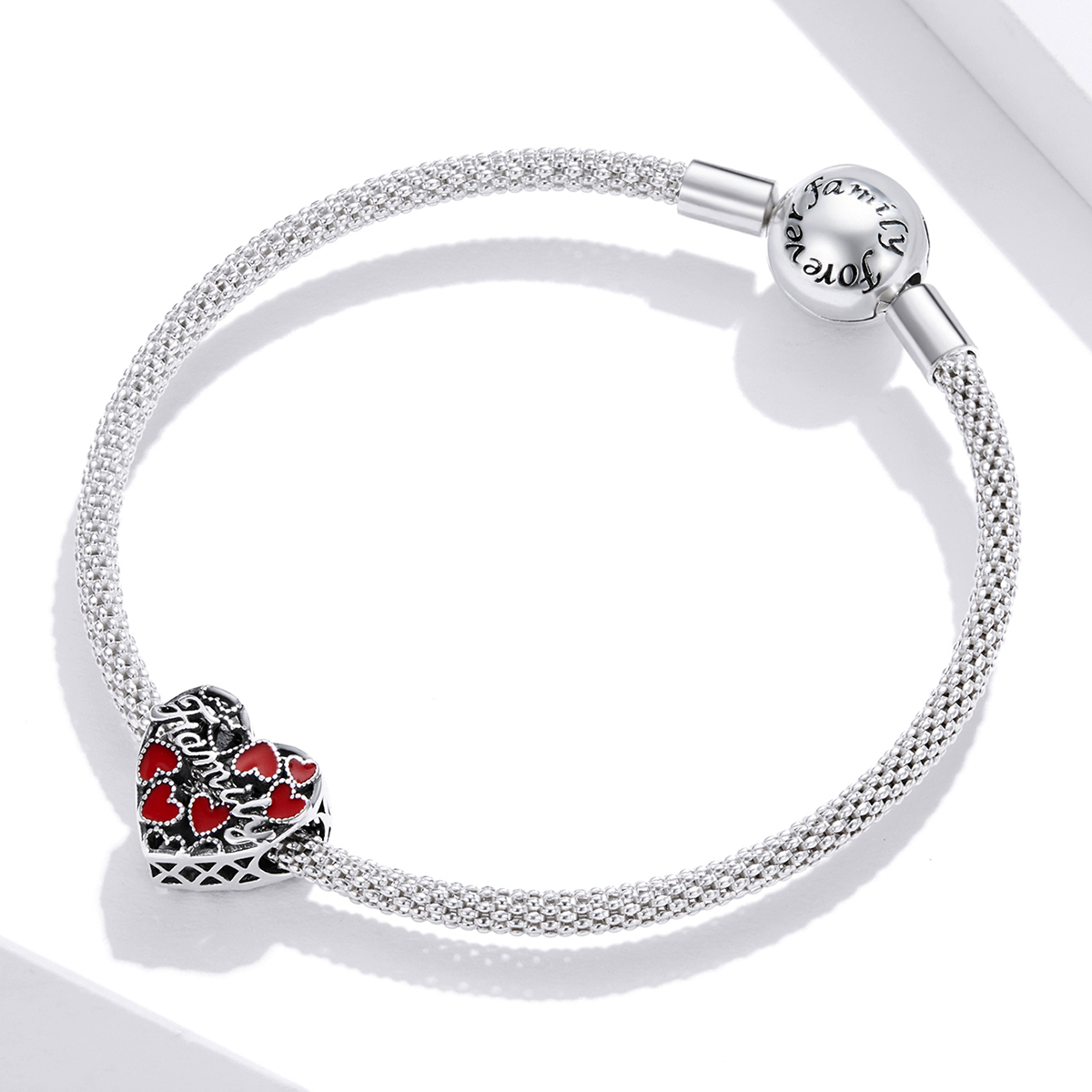 Pandora Style Warme Familie Bedel - SCC1750